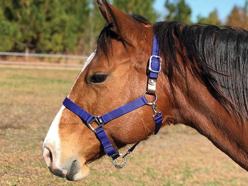 UE4100271212FUL Equi-Sky Basic Breakaway Halter sku UE4100271212FUL