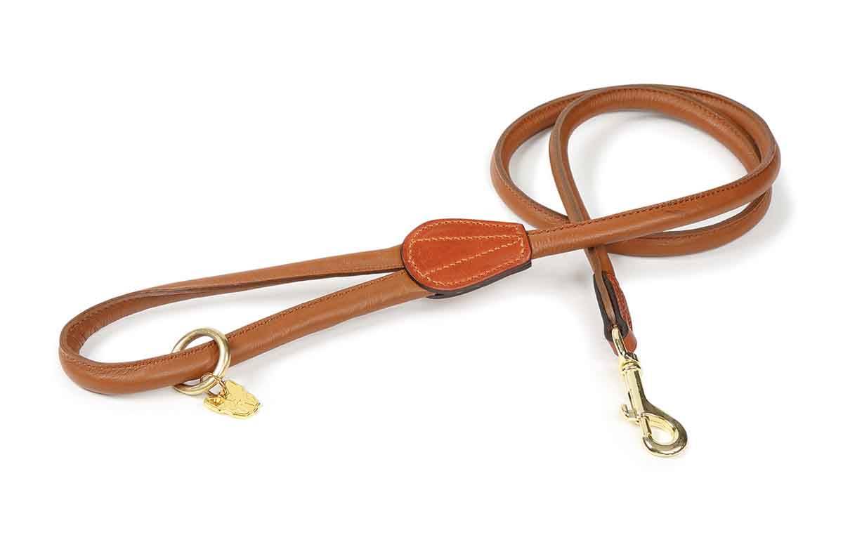 Shires Digby & Fox Rolled Leather Dog Lead | HorseLoverZ