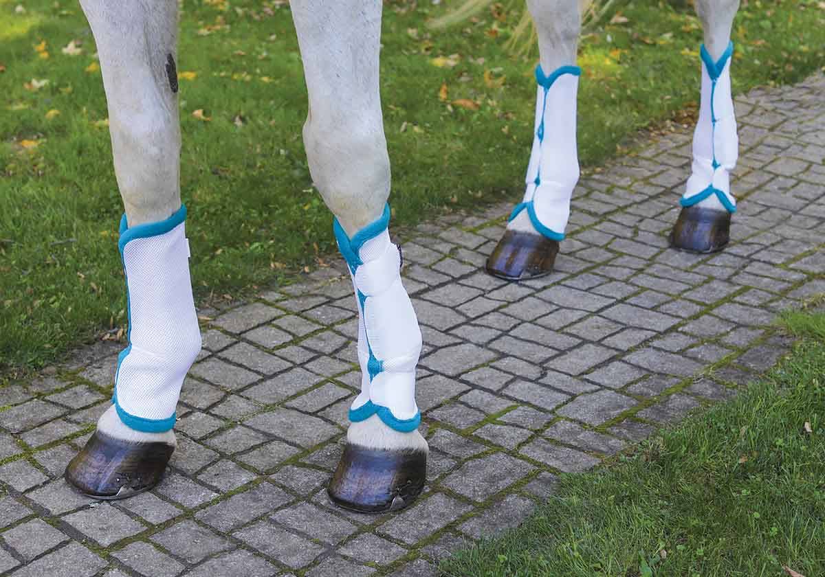 Shires Arma Fly Turnout Socks Horse Pony Cob keep bothersome flies and biting in 