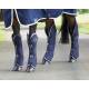 Shires Arma Travel Boots