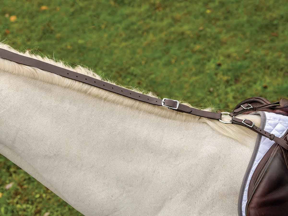 Shires Avignon Daisy Rein