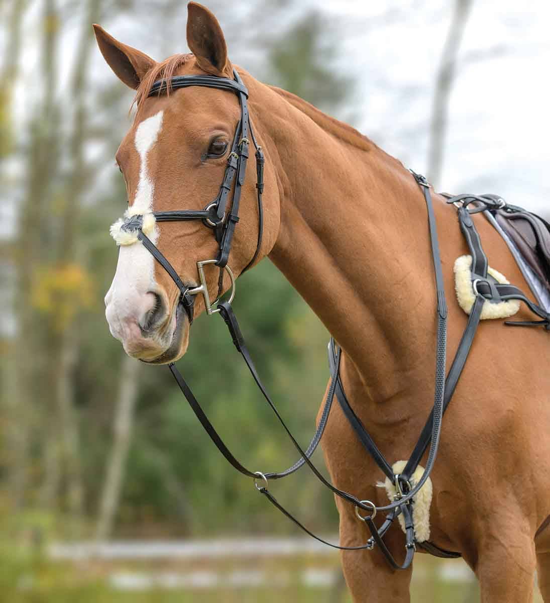 Exselle Synthetic Reins Brown