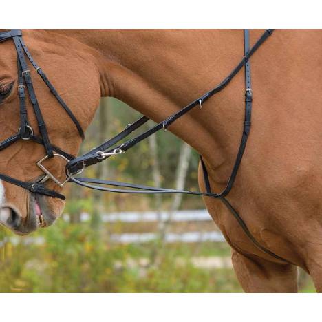 Shires Avignon German Martingale