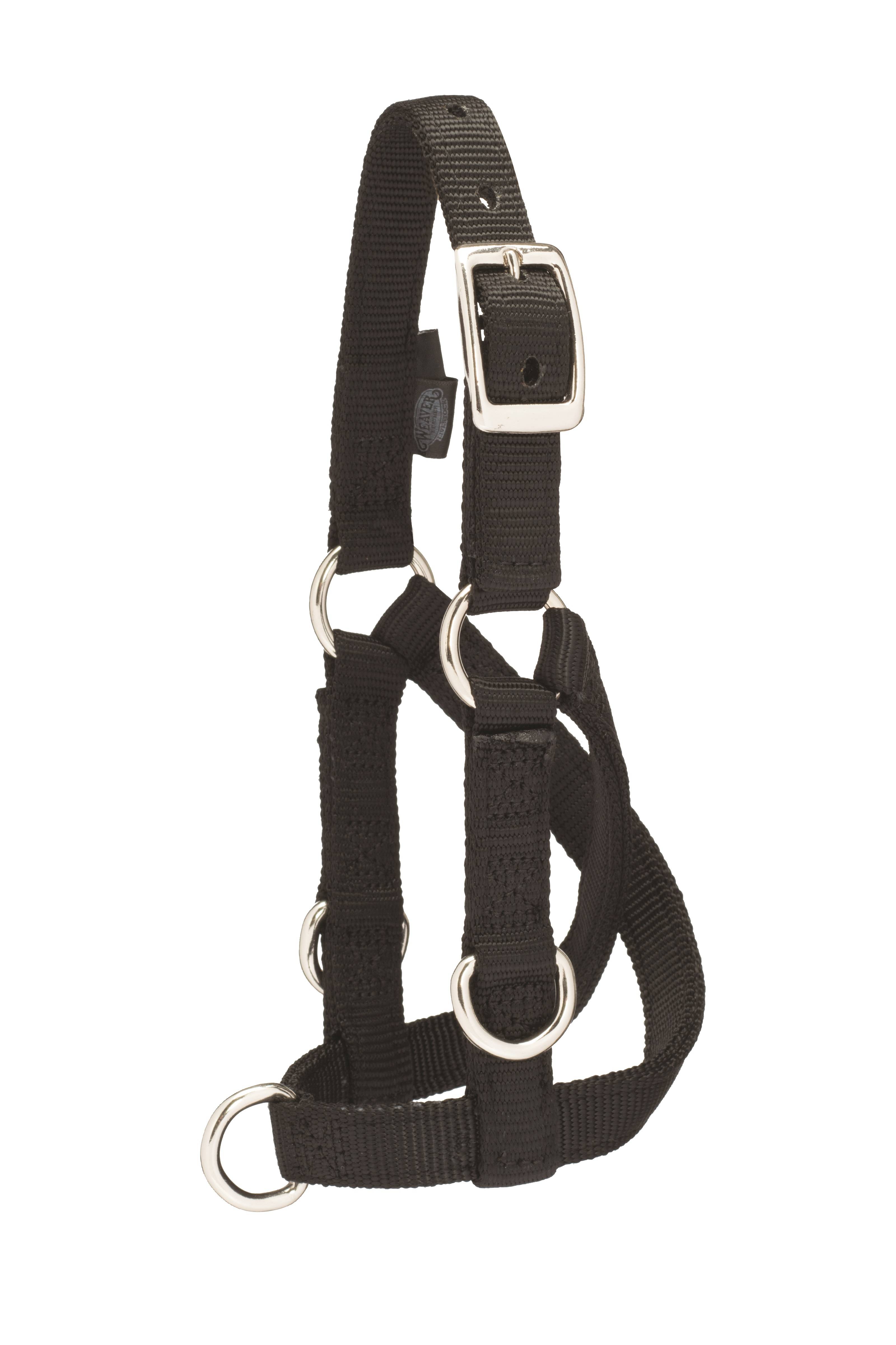 Weaver Sheep & Goat Training Halter