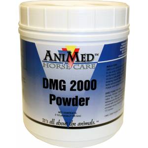 AniMed DMG 2000 Powder For Horses