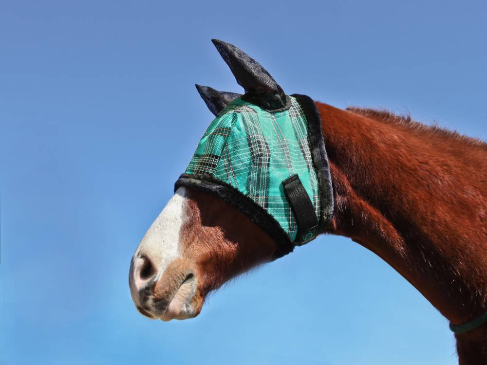 Kensington Miniature Fly Mask With Ears & Fleece Trim HorseLoverZ