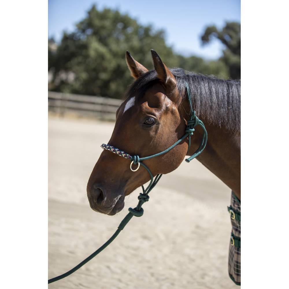 Kensington Rope Halter/Side Pull HorseLoverZ