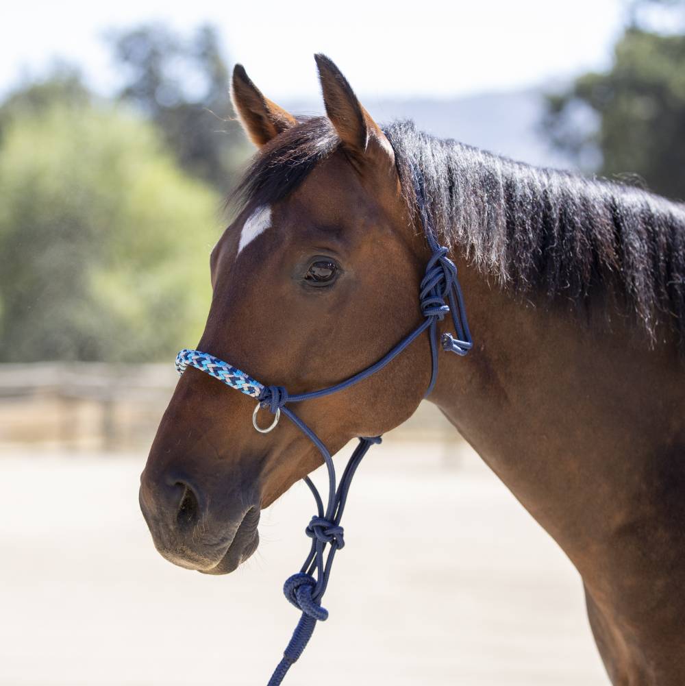 Kensington Rope Halter/Side Pull HorseLoverZ