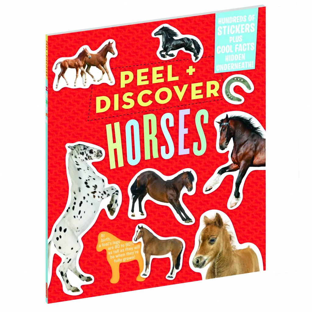 Kelley Peel + Discover: Horses