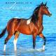 Kelley Happiness is a Horse 2019 Calendar, 18 Month