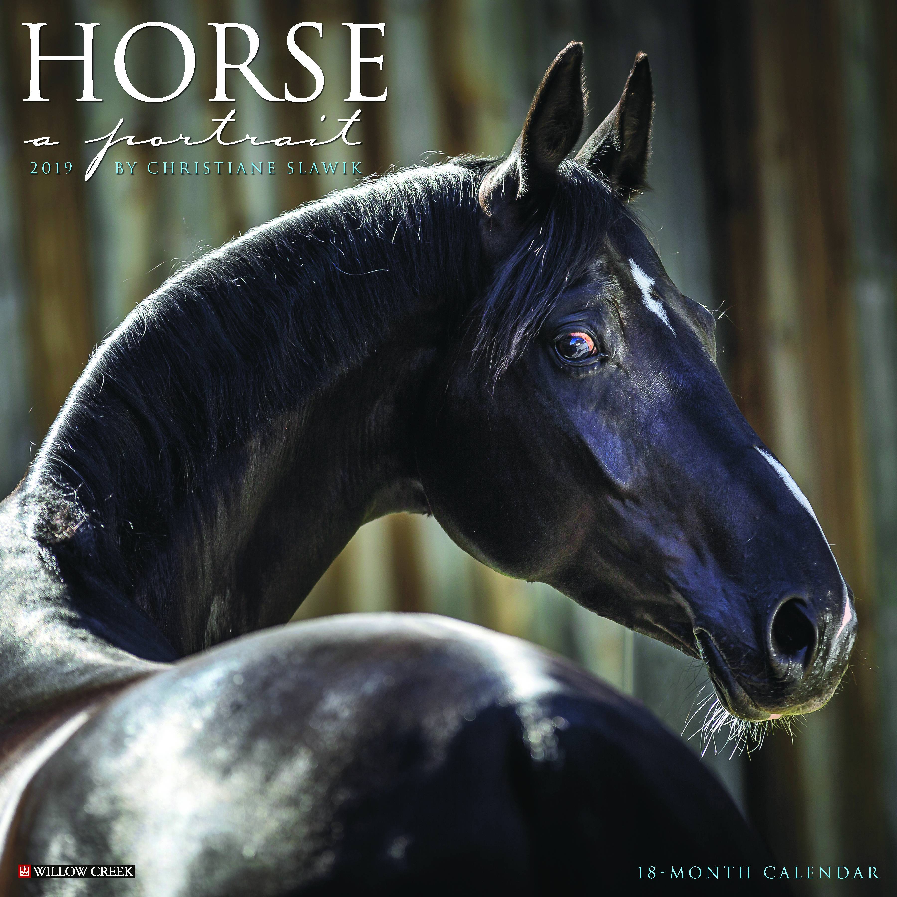 Kelley Horse A Portrait 2019 Calendar, 18 Month