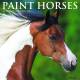 Kelley Paint Horses 2019 Calendar, 18 month