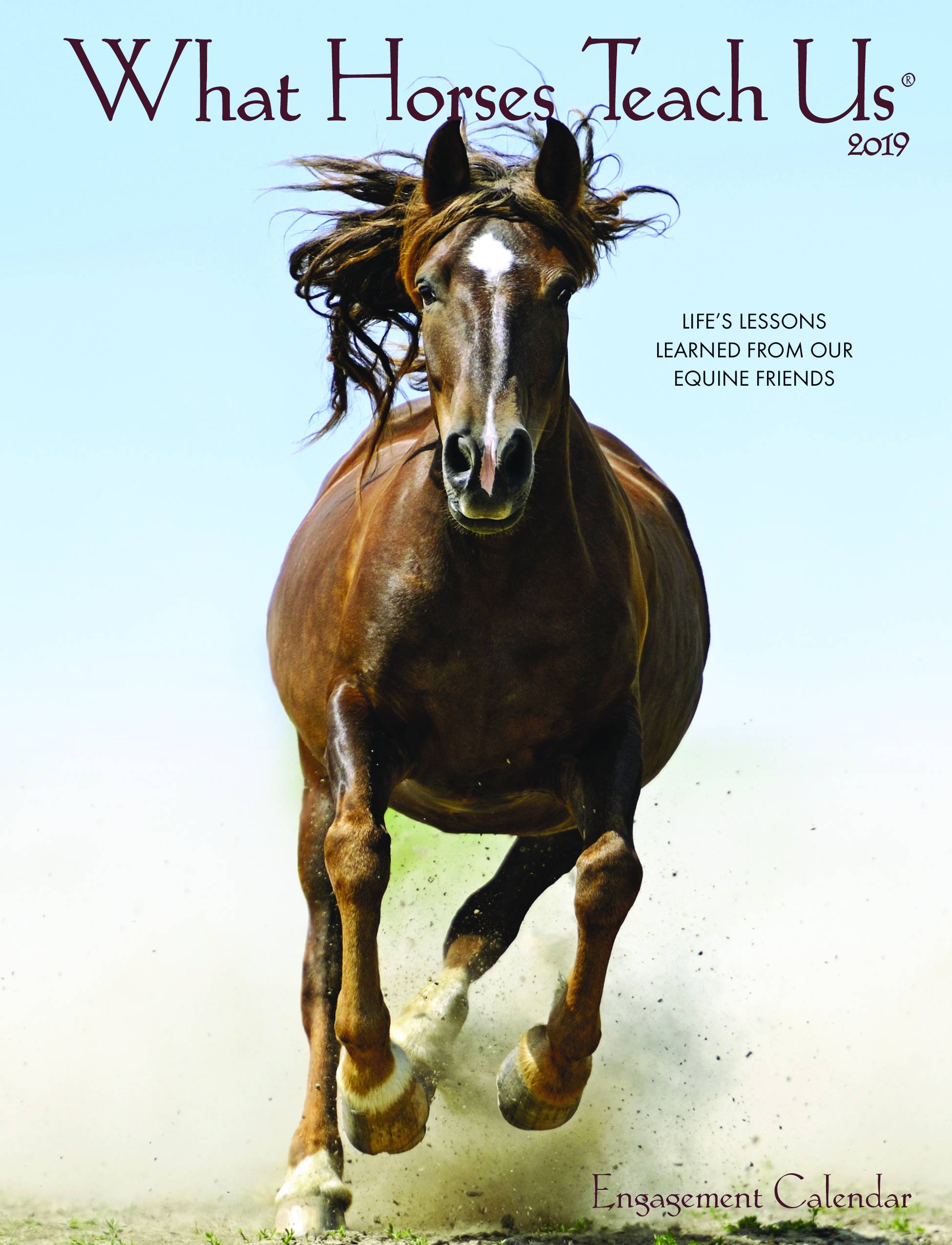Kelley What Horses Teach Us Planner 2019