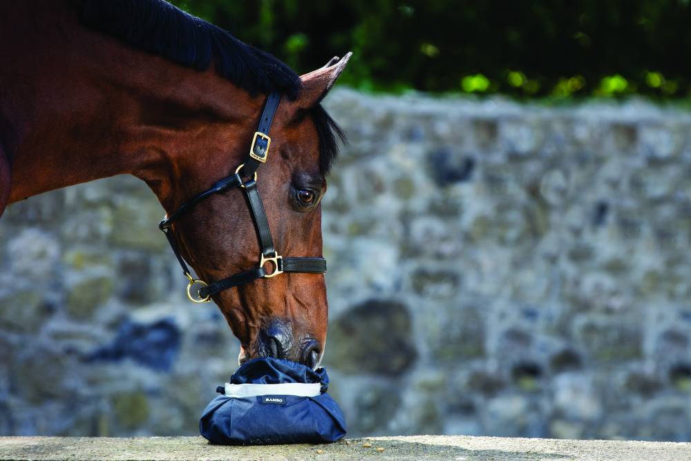 Rambo Horse Feed Bowl HorseLoverZ