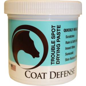 Coat Defense Trouble Spot Drying Paste