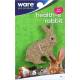 Critter Ware Health-E-Rabbit