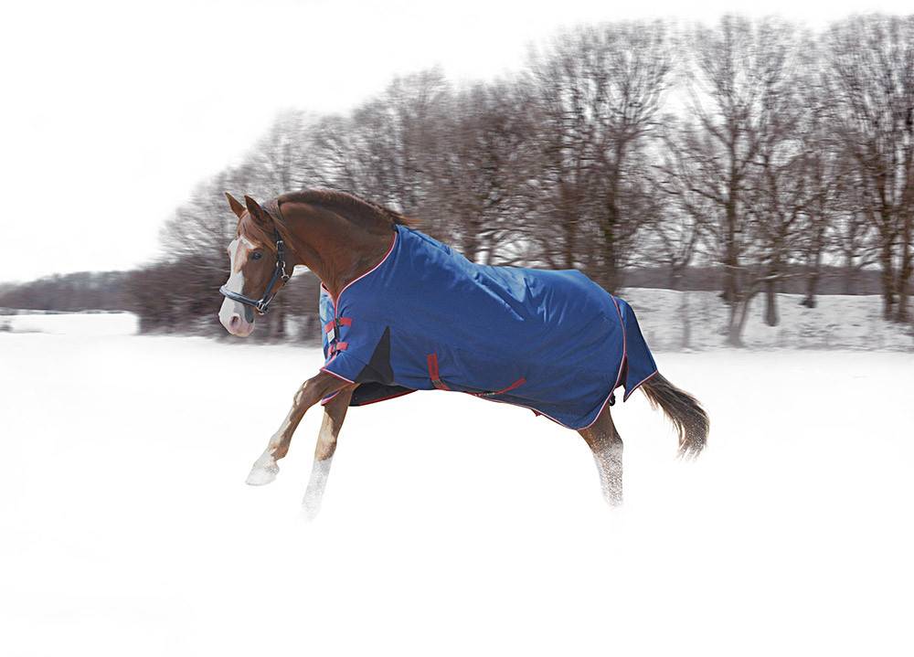 TuffRider Bonum 1200D Ripstop Pony 220g Standard Neck Turnout Blanket