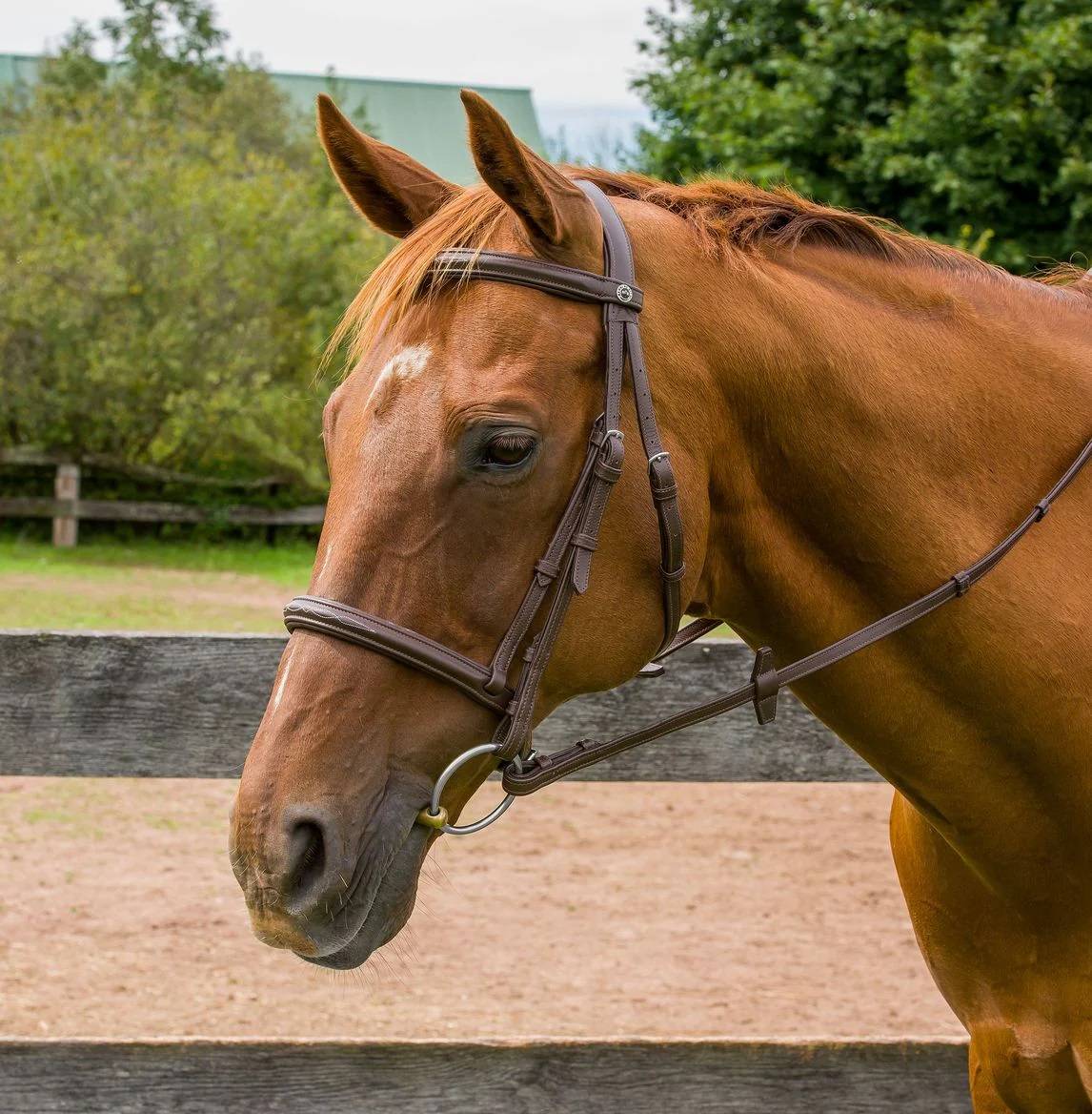 Henri de Rivel Kushy Fancy Stich Leather Bridle