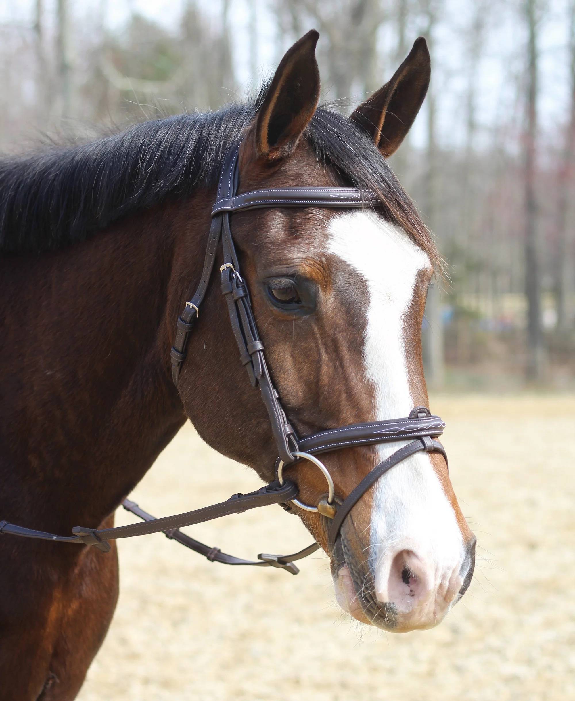 Henri de Rivel Kushy Leather Bridle With Flash Attachment