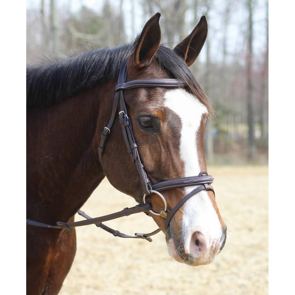 Henri de Rivel Kushy Leather Bridle With Flash Attachment