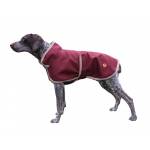 Halo Optima Dog Jacket With Collar
