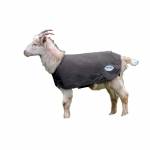 WeatherBeeta Sheep, Goat & Llama Supplies