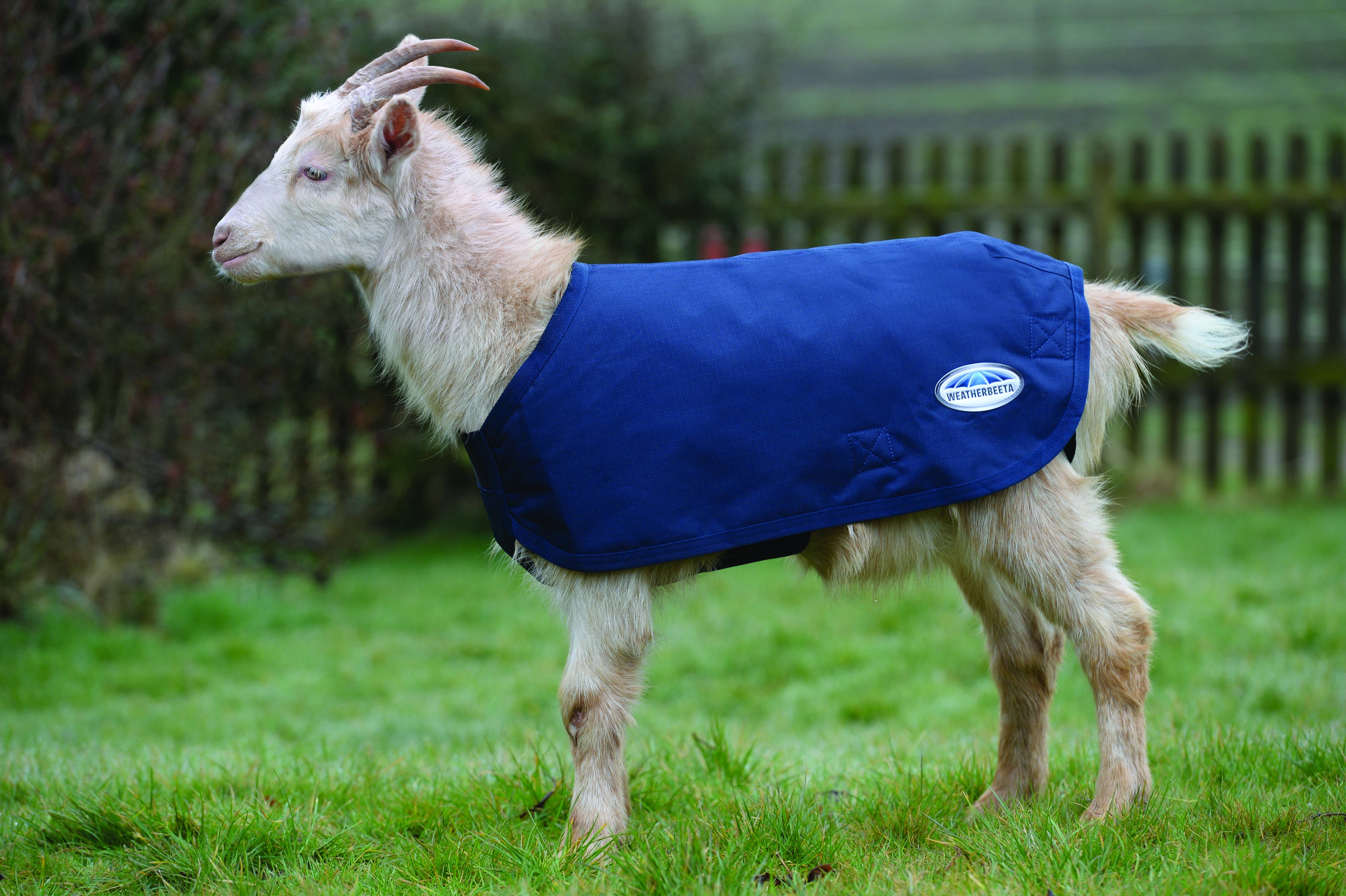Weatherbeeta Deluxe Goat Coat