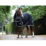 WeatherBeeta Horse Therapy