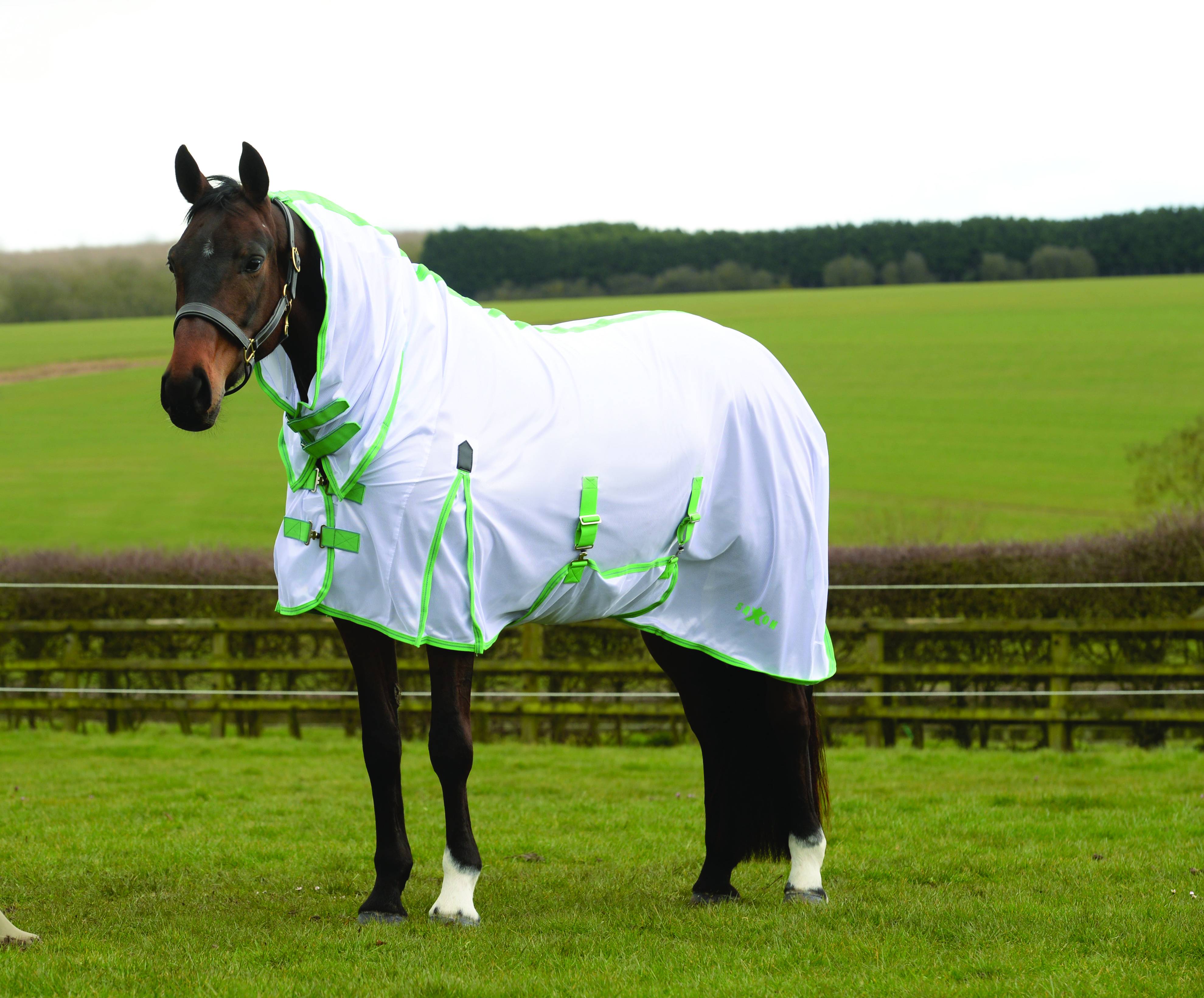 Saxon Mesh Combo Neck with Gusset and Belly Wrap