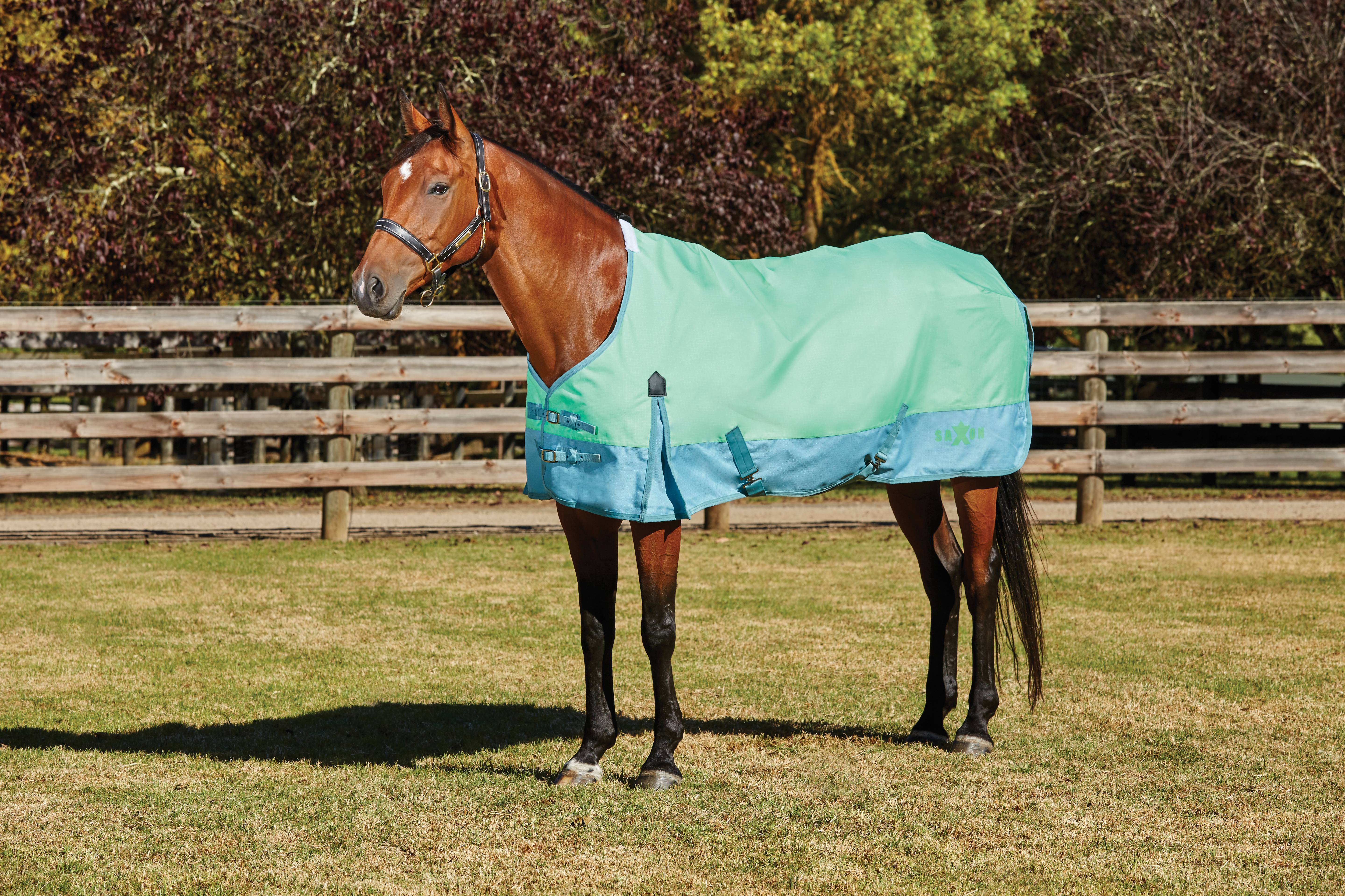 Saxon 1200D Standard Neck Lite Turnout Blanket With Gusset ll