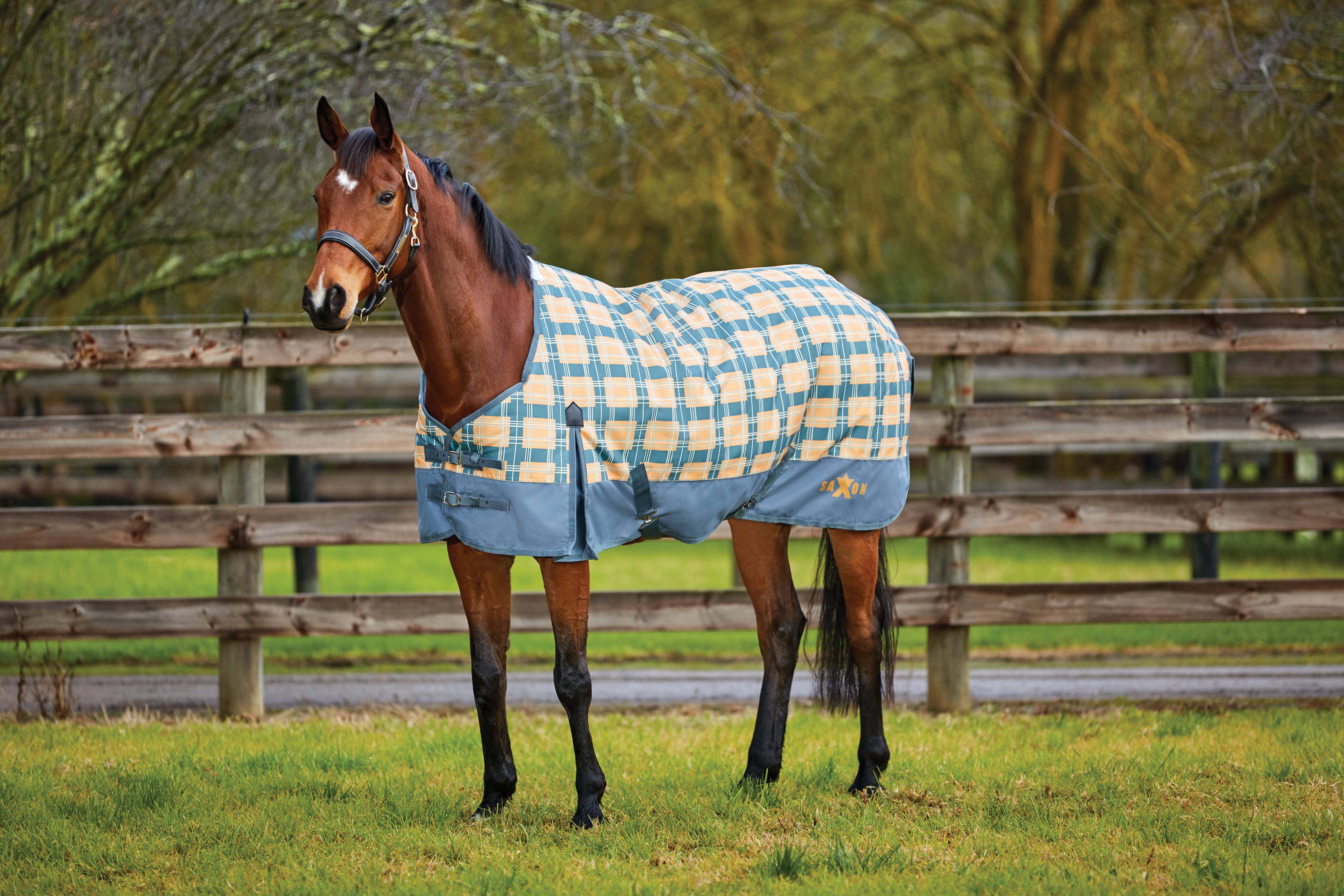 Saxon Horse Blanket Size Chart