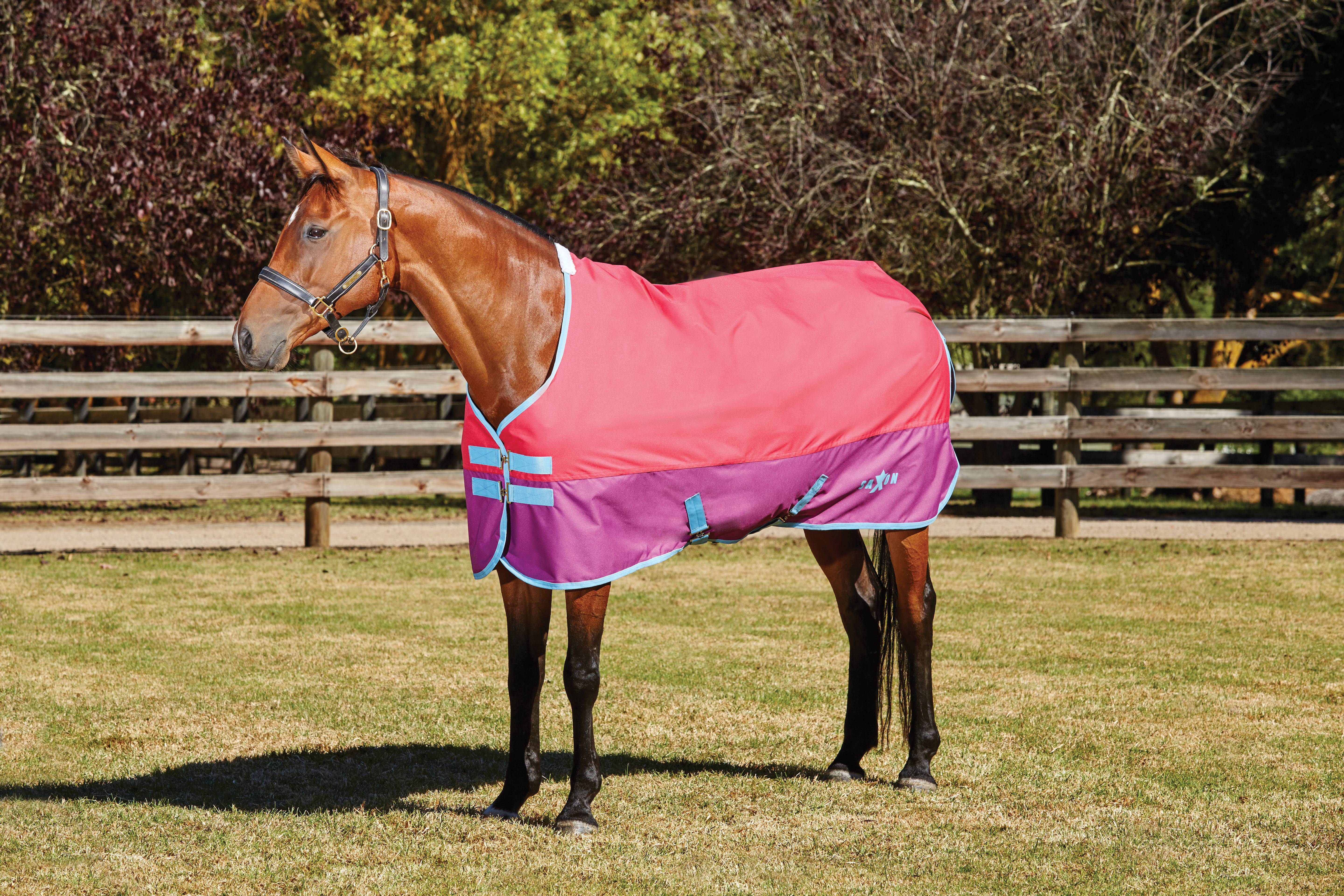 Saxon 600D Standard Neck Lite Turnout Blanket Iv