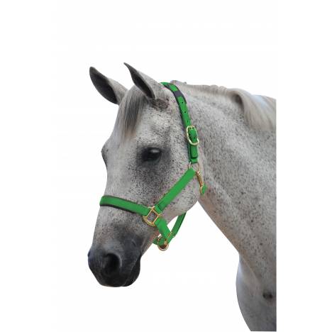 Roma Brights Breakaway Headcollar Halter