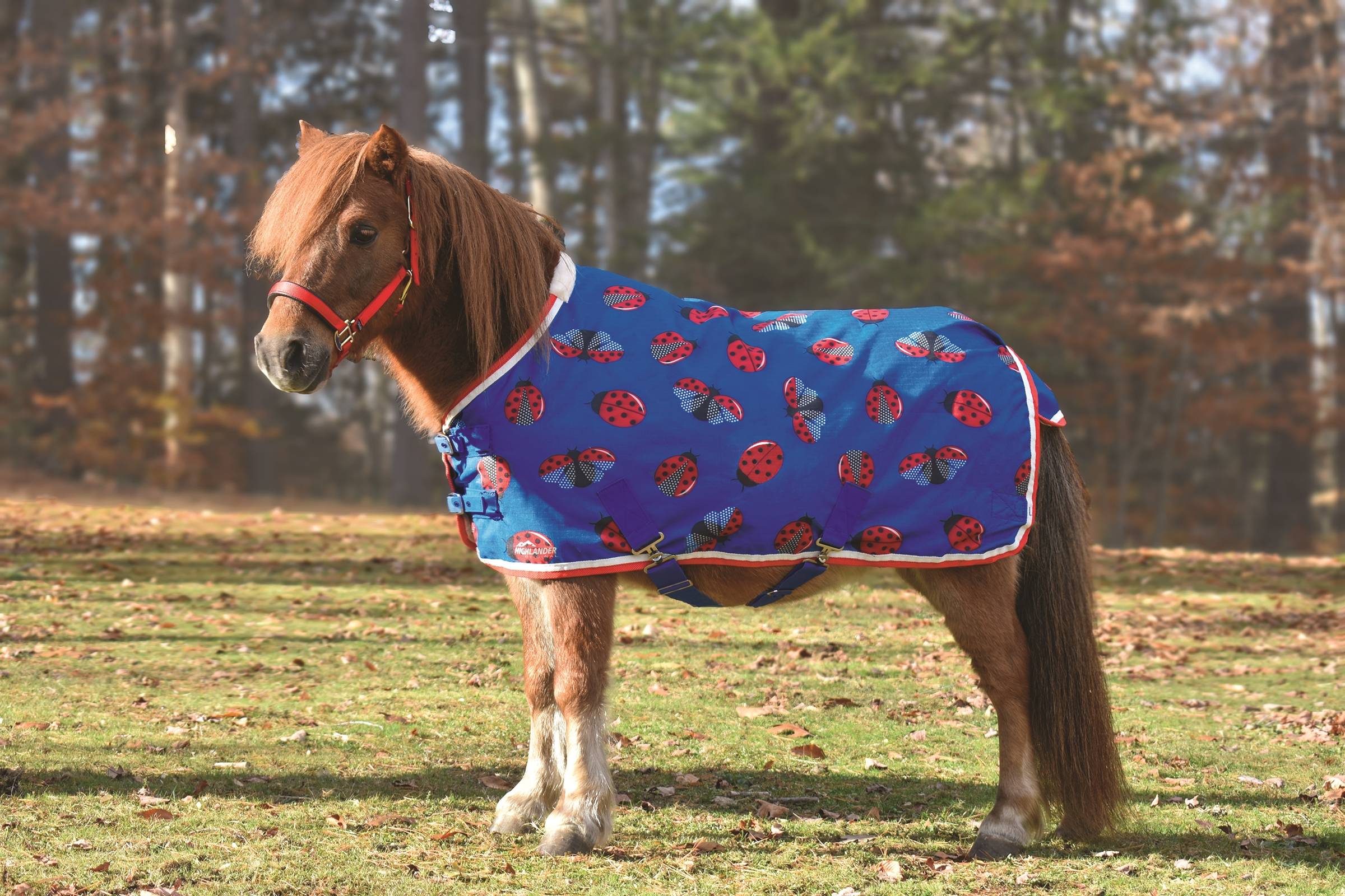 Shires Miniature Winter Highlander 200g Turnout Blanket Ladybug