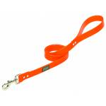 Weaver Terrain Dog Brahma Webb Clear Coat Leash