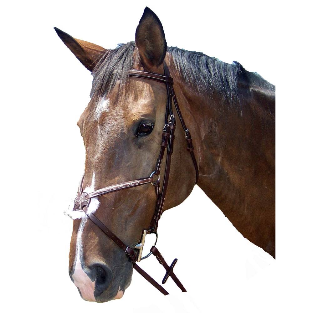 ProAm Fancy Raised Padded Figure 8 Bridle