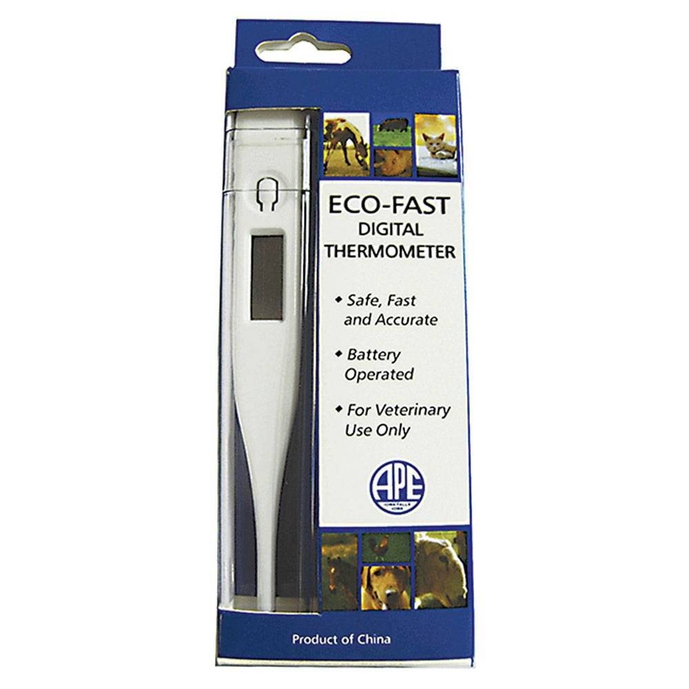 Eco-Fast Digital Thermometer