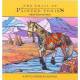 The Trail Of The Painted Ponies Adult Coloring Book Native American Edition