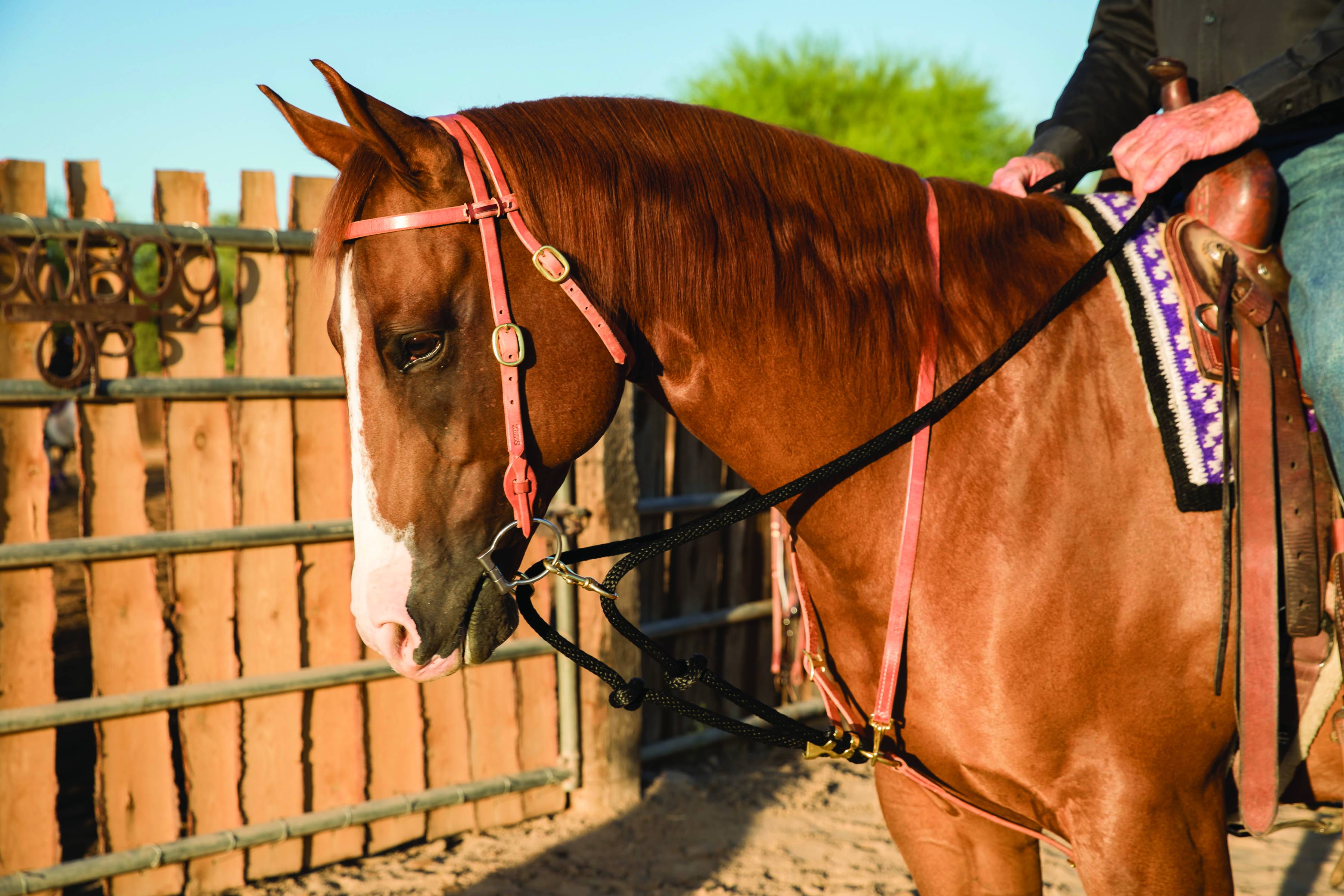 Al Dunning By Professionals Choice Draw Rein Martingale