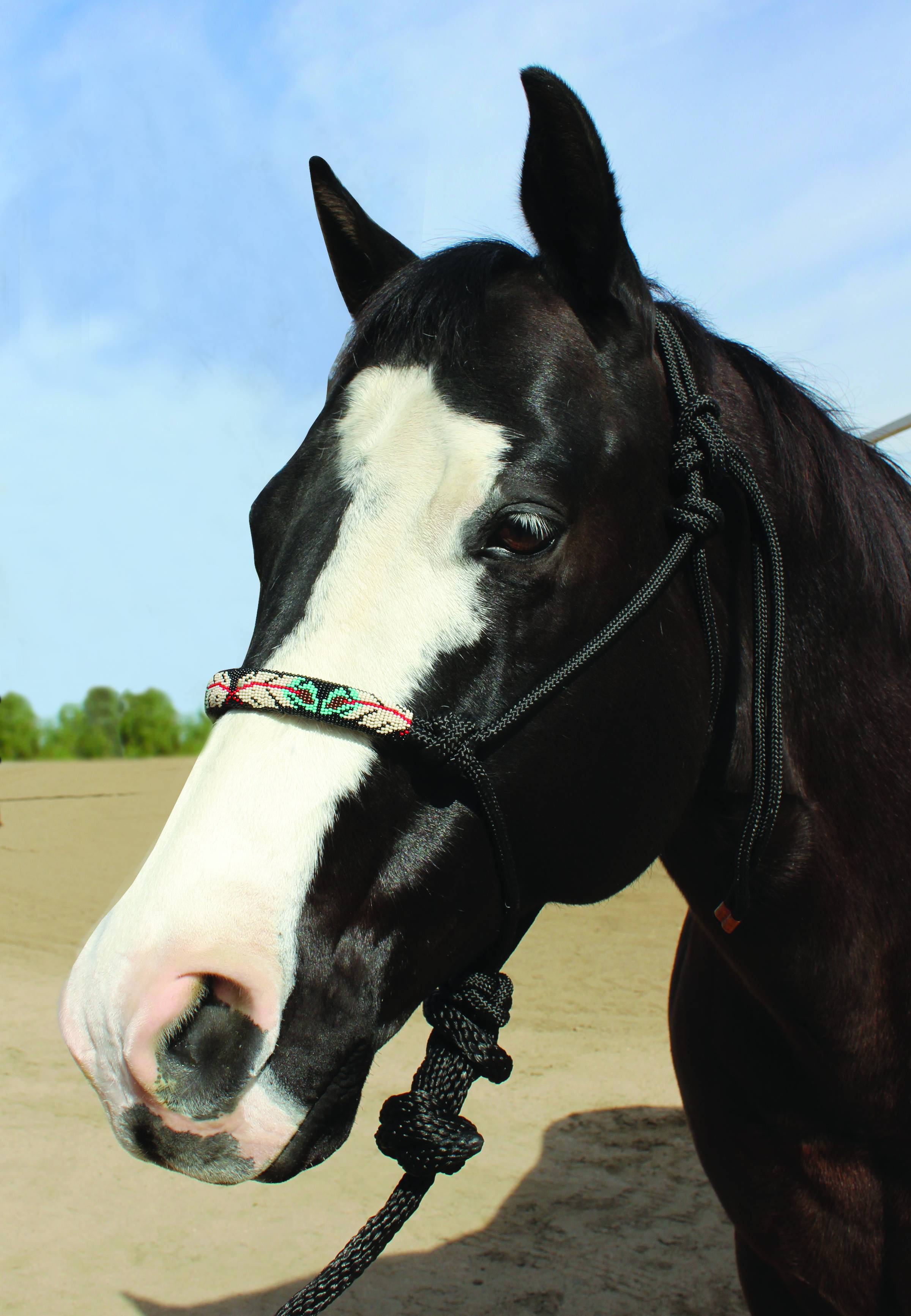 Professionals Choice Beaded Roper Halter