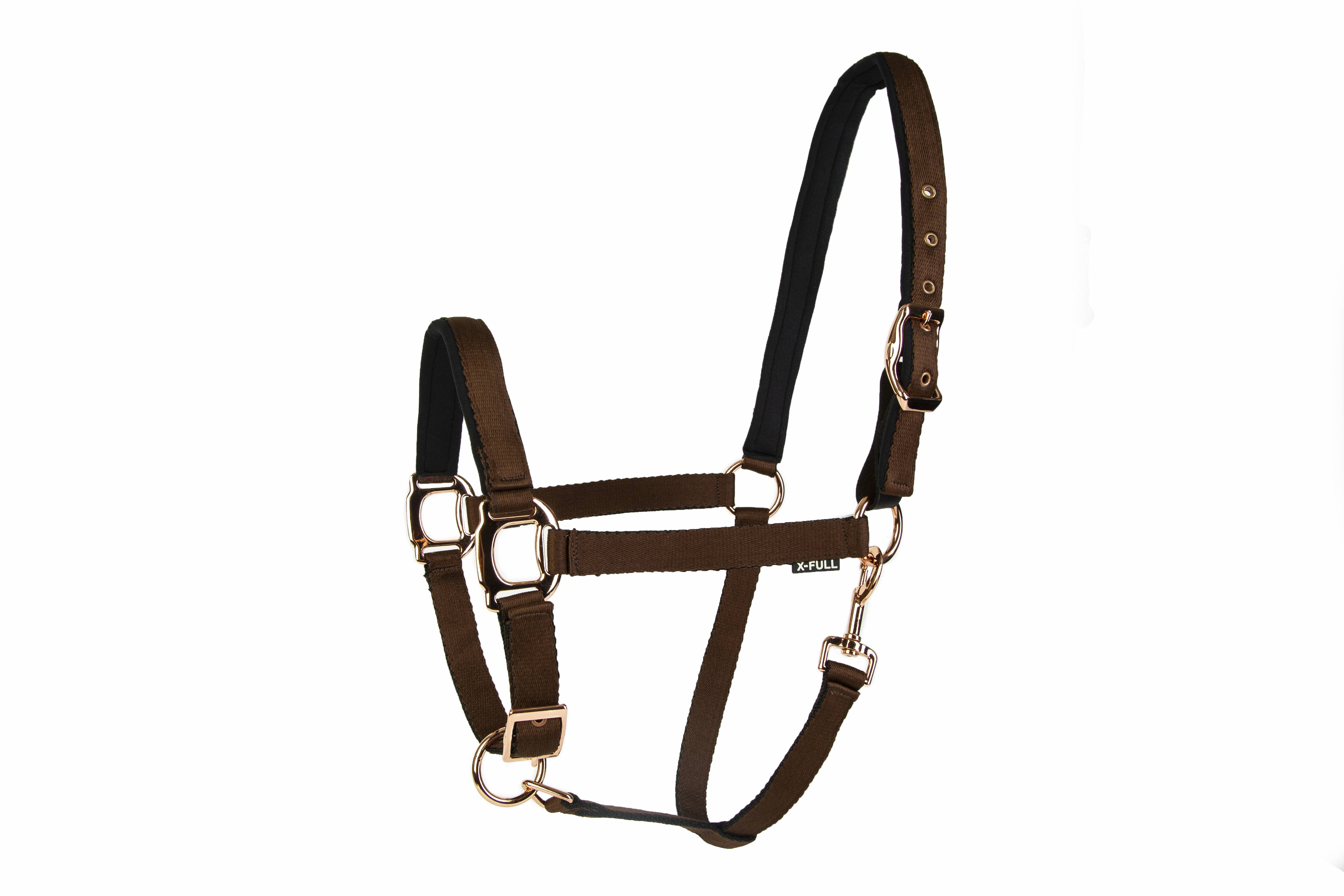 Lettia Rosegold Breakaway Halter with Tab