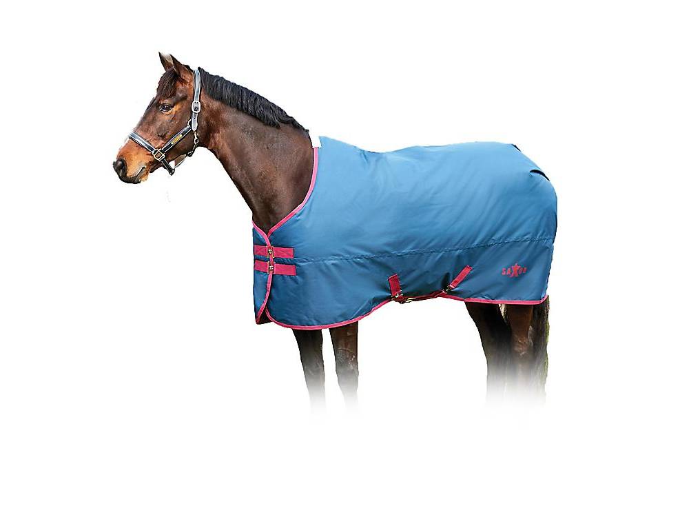 Saxon 600D Standard Neck Lite Turnout Blanket IV Dog HorseLoverZ