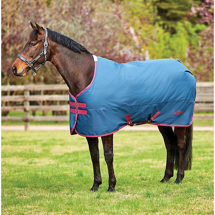 1001078007 Saxon 600D Standard Neck Lite Turnout Blanket IV