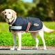 Weatherbeeta ComFiTec1200D Therapy-Tec Dog Coat
