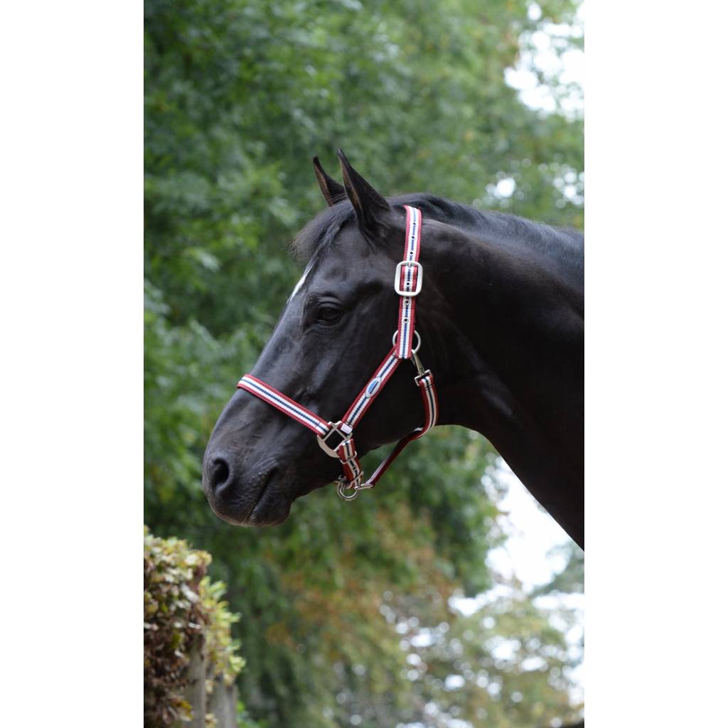 Weatherbeeta Coordinate Halter