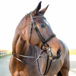 Horze Laelia Leather Reins with Stops