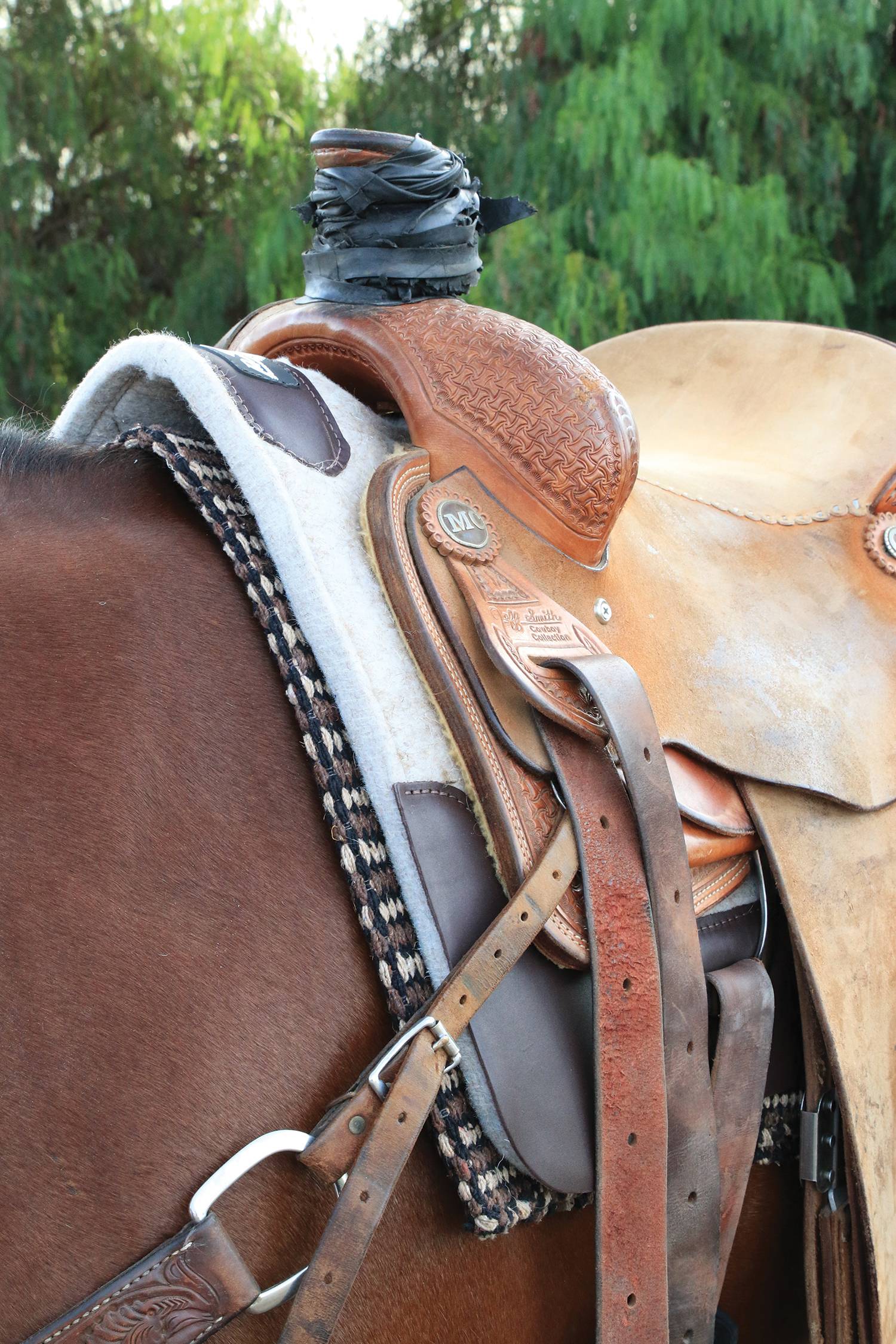 Professionals Choice Dally Horn Wrap