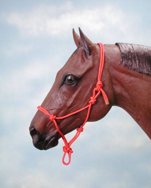 Tough-1 Two-Tone Poly Rope Halter