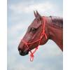 Tough-1 Two-Tone Poly Rope Halter