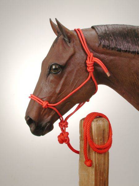 Tough 1 Rawhide Noseband Rope Halter with Lead 